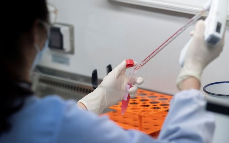 Vacina de Oxford contra Covid-19 será testada no Brasil