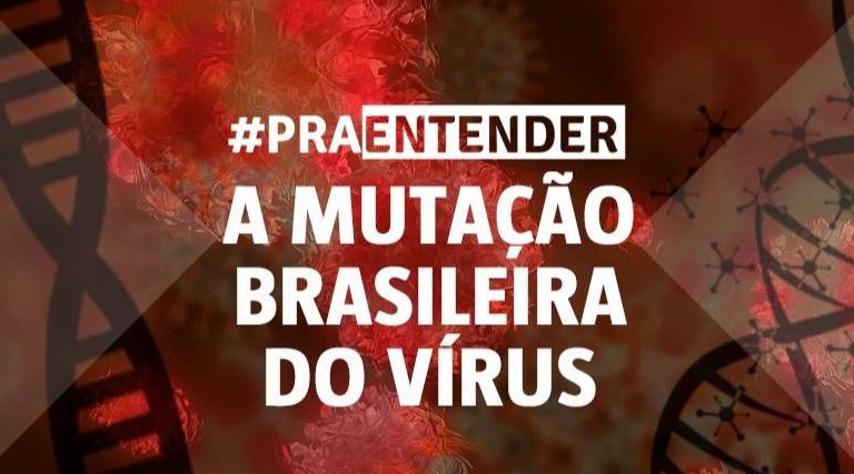 video compreenda a mutacao do coronavirus no brasil
