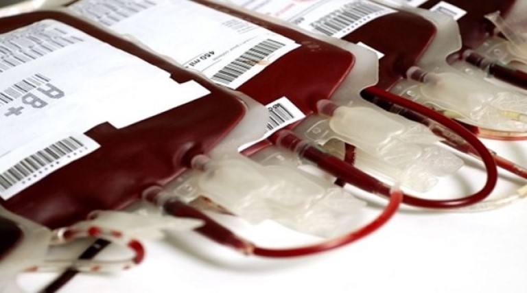 domingao da doacao hemocentro da paraiba abre domingo para aumentar estoque de sangue