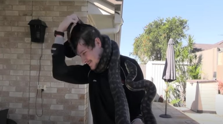 Youtuber leva picada enquanto brinca com cobra no pescoço; veja vídeo 1 youtuber leva picada enquanto brinca com cobra no pescoco veja video