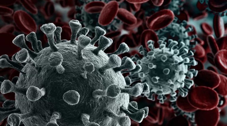 brasil registra 2 morte causada pela variante delta do novo coronavirus
