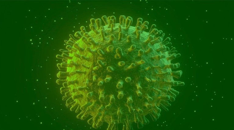 covid 19 estudo diz que infectados podem gerar anticorpos permanentes