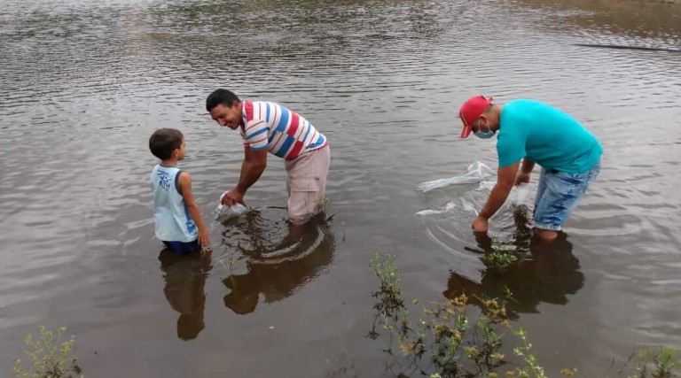 prefeitura de poco dantas realiza peixamento nos principais acudes do municipio