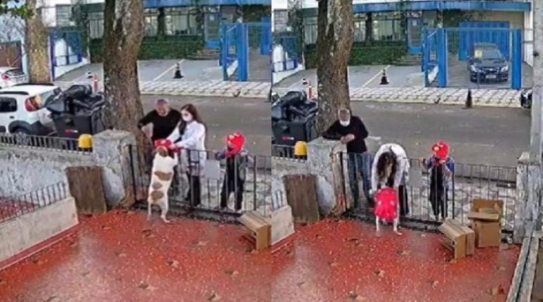 casal leva blusa nova para cachorra que teve roupa furtada no portao