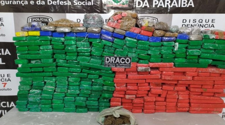 policia civil apreende 350kg de maconha escondidos em sitio no sertao da paraiba