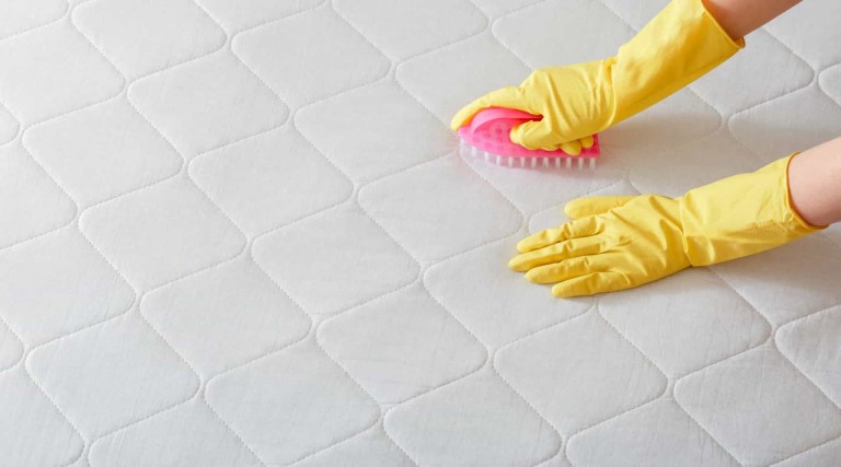 aprenda a limpar seu colchao em casa para mante lo livre de acaros