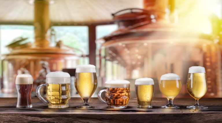 cerveja engorda veja o que um novo estudo diz