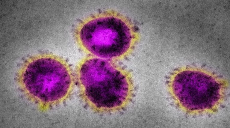 oms faz alerta para mais uma variante do coronavirus a mu