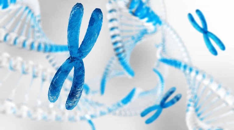 pessoas com numero anormal de cromossomos sao mais propensas a cancer