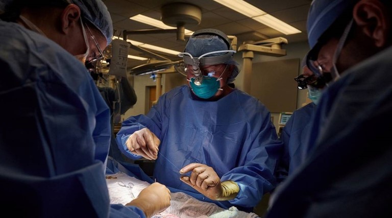 primeiro-transplante-de-rim-de-um-animal-para-ser-humano-e-realizado-nos-eua