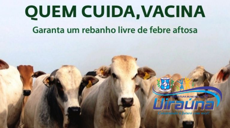 a-secretaria-de-agricultura-e-meio-ambiente-segue-vacinando-o-gado-contra-a-febre-aftosa