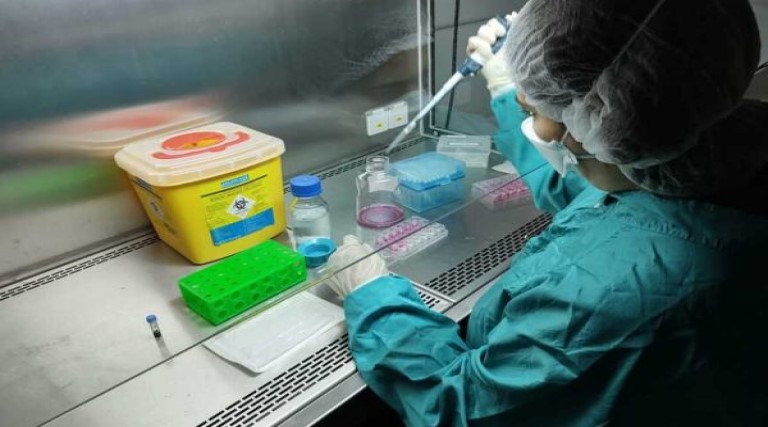 estudo-procura-voluntarios-que-aceitem-pegar-covid-em-prol-da-ciencia