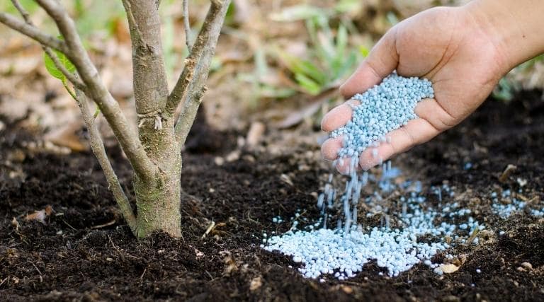 a-importancia-do-fertilizante