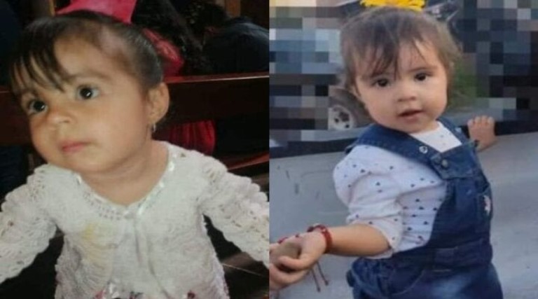 menina de 2 anos morre apos comer biscoito envenenado jogado para cachorro da familia
