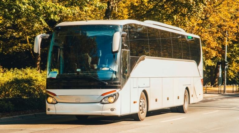 criancas viajam sozinhas por tres dias em onibus clandestino e uma delas e deixada no ceara