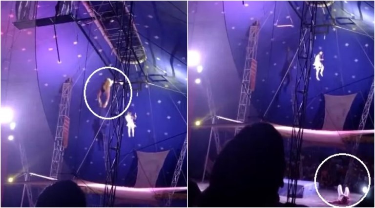 video trapezista despenca durante exibicao em estreia de circo na grande fortaleza