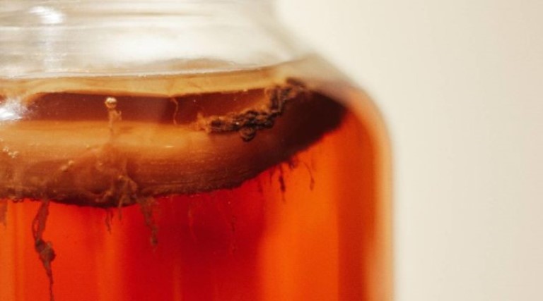 saiba-o-que-e-kombucha-e-qual-e-o-seu-impacto-na-saude