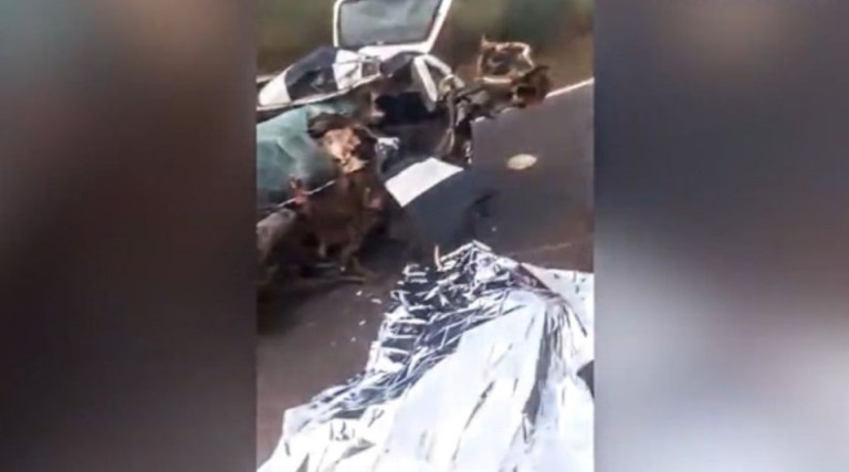video reporter descobre ao vivo que vitima fatal de acidente e seu filho