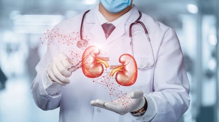 cientistas-regeneram-celulas-do-rim-pela-1-vez-e-recuperam-orgao