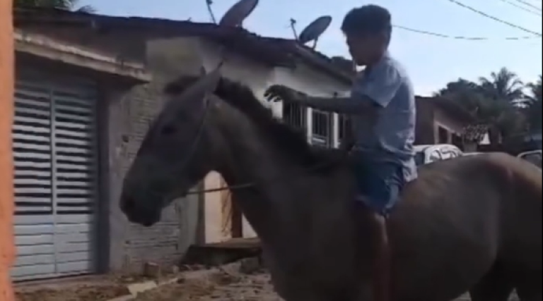 video-crianca-que-teve-potra-assassinada-ganha-cavalo-de-vaqueiro