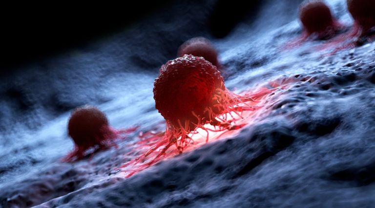 anvisa autoriza pesquisa clinica com car t cell no brasil paciente teve remissao completa de cancer