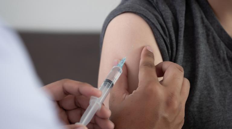 1 vacina brasileira contra chikungunya e aprovada nos estados unidos 2