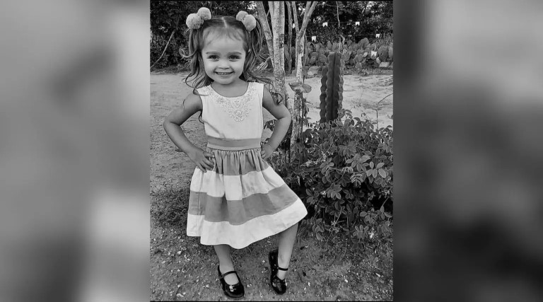 crianca de 4 anos morre atropelada por onibus escolar e outras tres ficam feridas