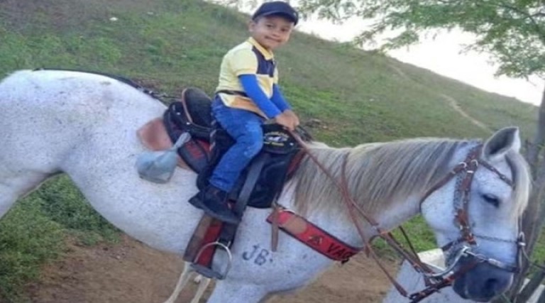 Criança morre arrastada por cavalo