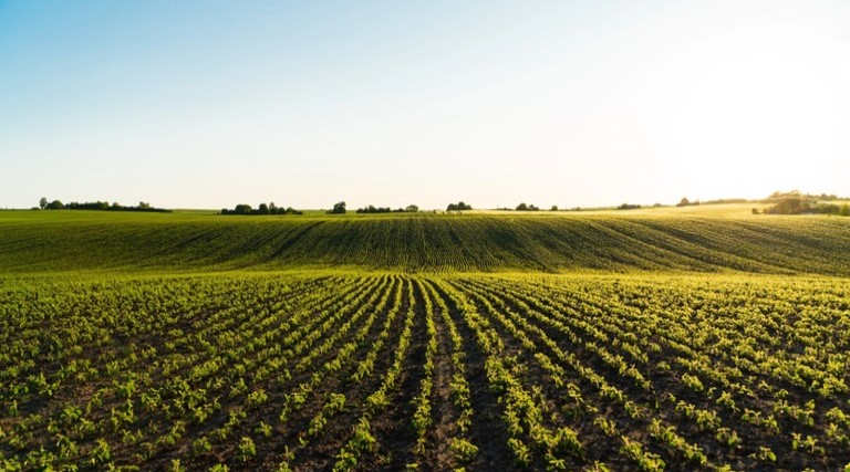 Governo antecipa auxílio a produtores rurais afetados 1 Governo antecipa auxílio a produtores rurais afetados