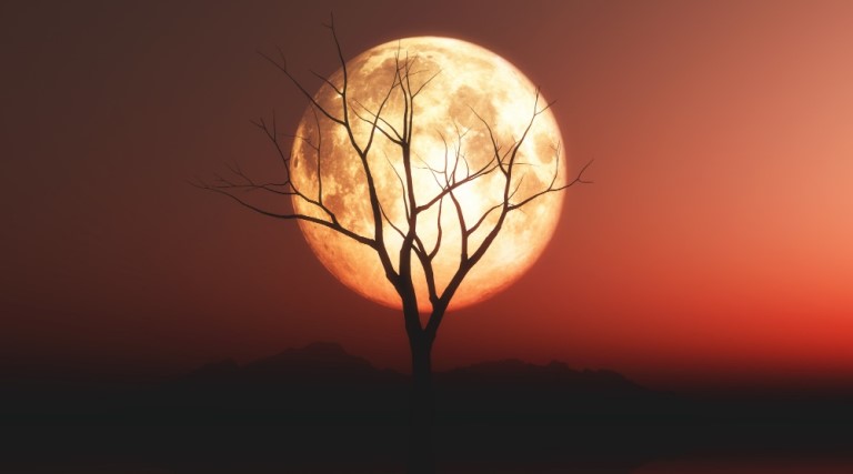 Lua Cheia Rosa ilumina o céu do Brasil esta noite: Saiba como observar