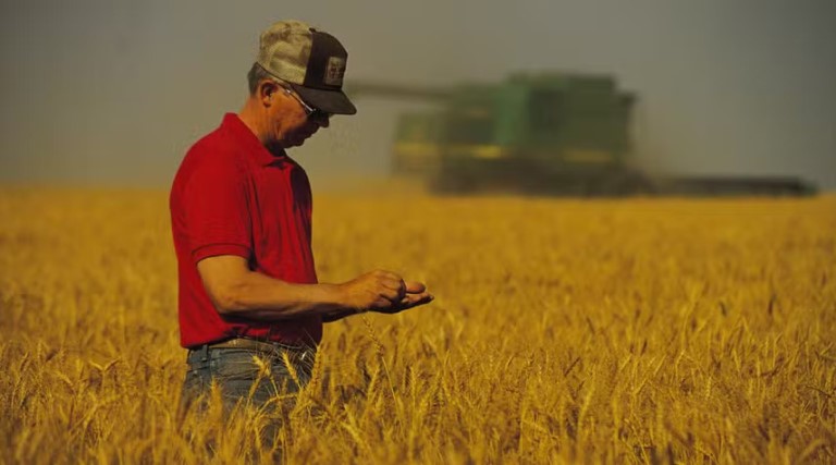 Aposentadoria Rural: como solicitar e quais os requisitos no INSS 1 Aposentadoria Rural: como solicitar e quais os requisitos no INSS