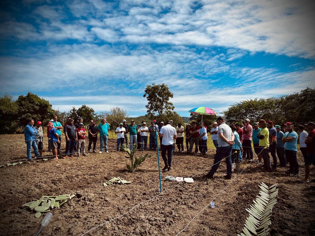 Prefeitura de Poço Dantas, Empaer, Fazenda Eficiente e BNB promovem dia de campo sobre cultura de palma forrageira 12 WhatsApp Image 2024 05 17 at 16.13.28