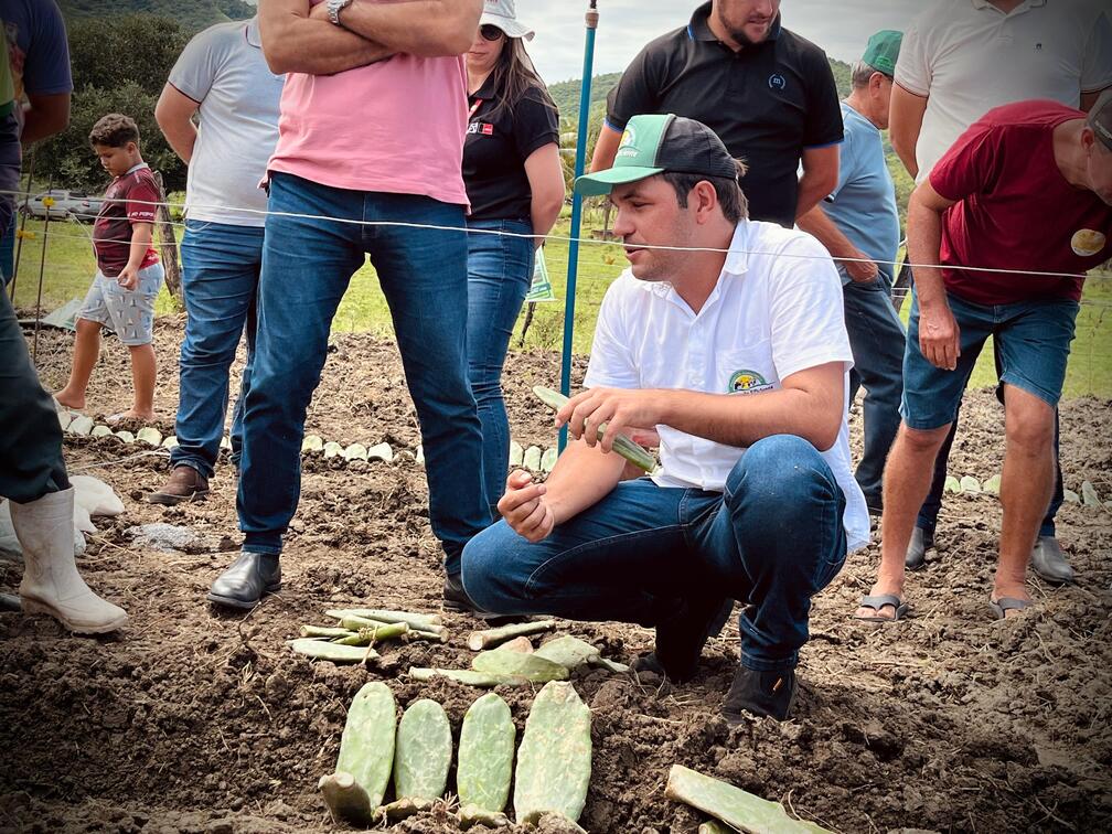Prefeitura de Poço Dantas, Empaer, Fazenda Eficiente e BNB promovem dia de campo sobre cultura de palma forrageira 14 WhatsApp Image 2024 05 17 at 16.13.29