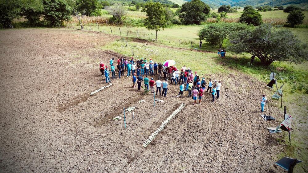 Prefeitura de Poço Dantas, Empaer, Fazenda Eficiente e BNB promovem dia de campo sobre cultura de palma forrageira 16 WhatsApp Image 2024 05 17 at 16.13.31