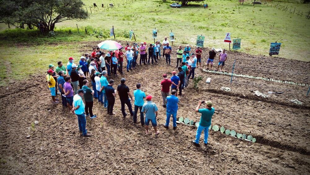 Prefeitura de Poço Dantas, Empaer, Fazenda Eficiente e BNB promovem dia de campo sobre cultura de palma forrageira 18 WhatsApp Image 2024 05 17 at 16.13.32