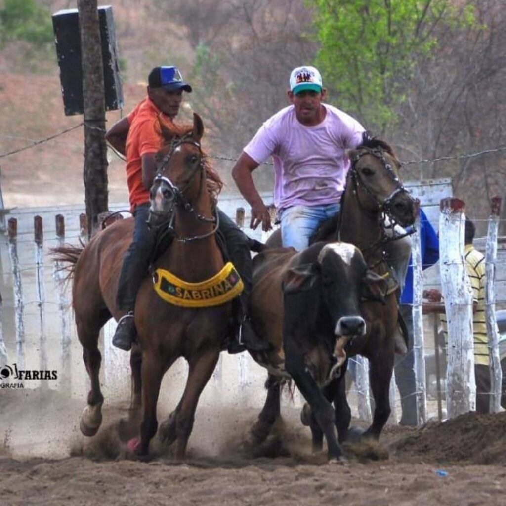 Parque Caboclo Maria será palco de vaquejada e shows em Poço Dantas 4 4