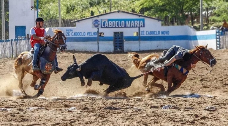 Parque Caboclo Maria será palco de vaquejada e shows em Poço Dantas 1 Parque Caboclo Maria sera palco de vaquejada e shows em Poco Dantas
