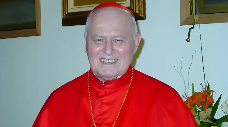 Dom Aloísio Lorscheider: O brasileiro que recusou ser Papa 1 Dom Aloísio Lorscheider: O brasileiro que recusou ser Papa