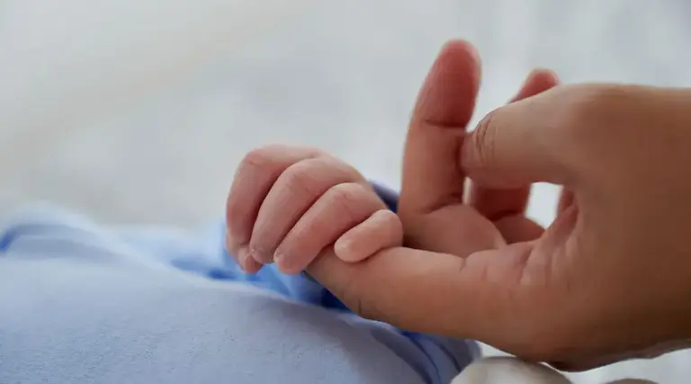 Lei do luto parental