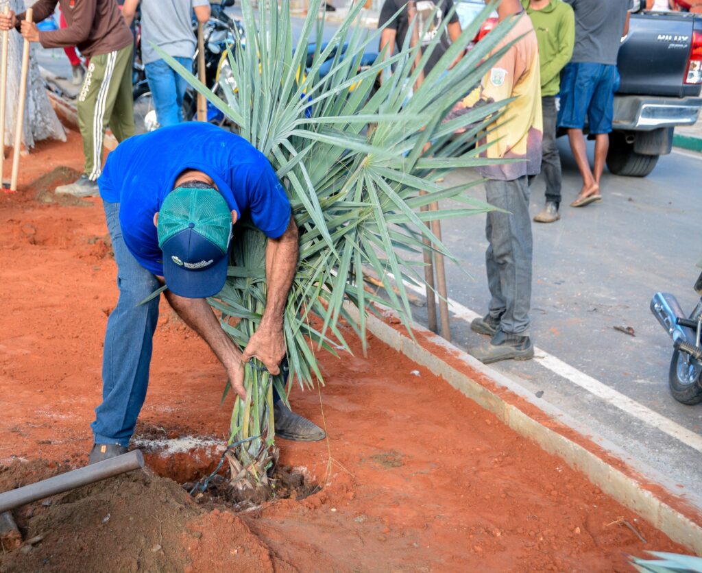 Poço Dantas é reconhecido como "Município Amigo da Natureza" 5 4 2