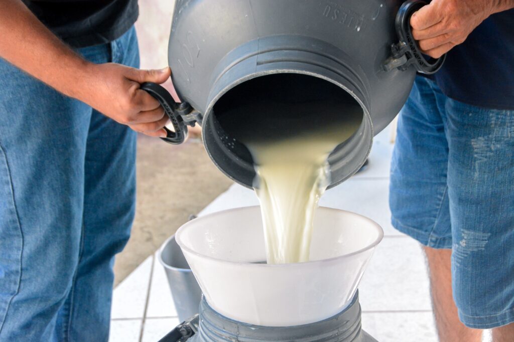 Posto de coleta de leite impulsiona economia local de Poço Dantas 15 WhatsApp Image 2025 07 11 at 09.28.25 3