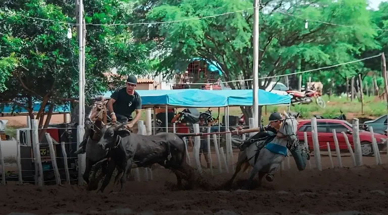 HOJE: Grande Vaquejada no Parque Caboclo Maria em Poço Dantas 1 Grande Vaquejada no Parque Caboclo Maria em Poco Dantas 1
