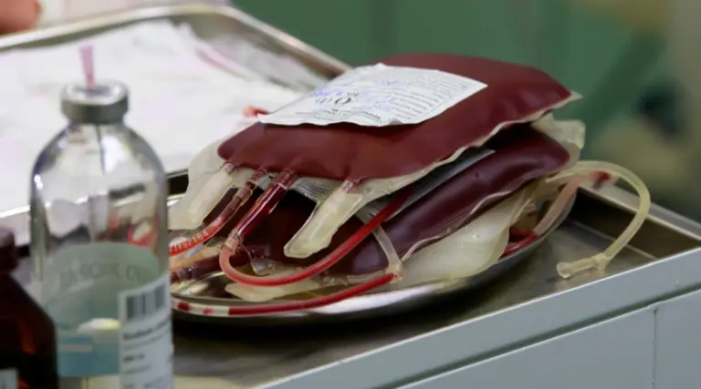 STF garante direito de recusar transfusão de sangue 1 STF garante direito de recusar transfusao de sangue