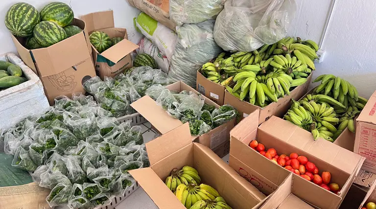 Prefeitura de Uiraúna une campo e mesa com PAA 1 Prefeitura de Uirauna une campo e mesa com PAA