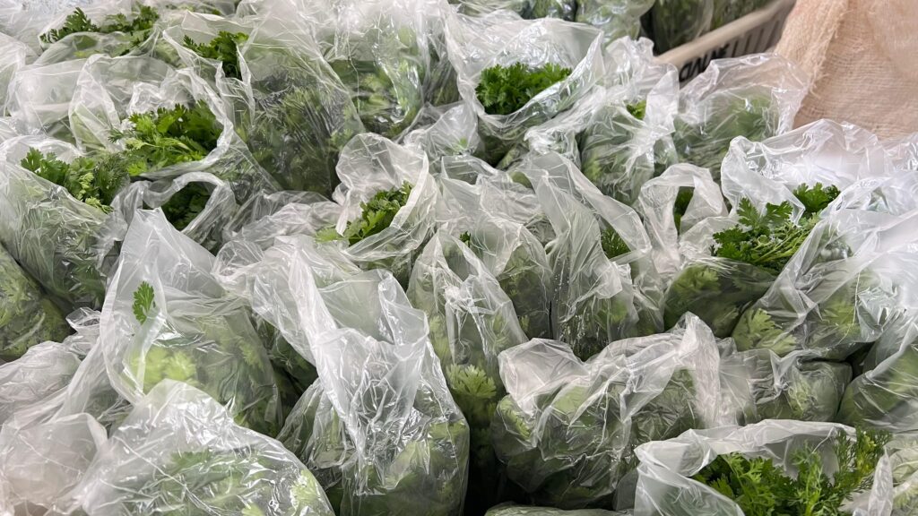 Prefeitura de Uiraúna une campo e mesa com PAA 6 WhatsApp Image 2025 09 19 at 15.43.11 1