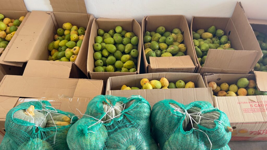 Prefeitura de Uiraúna une campo e mesa com PAA 11 WhatsApp Image 2025 09 19 at 15.43.13