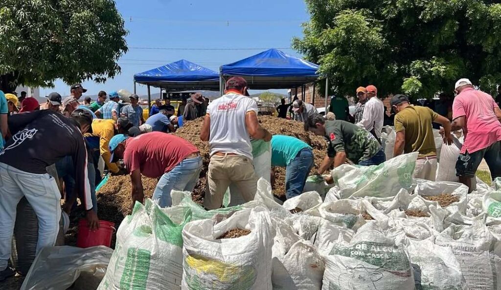 Prefeitura de Uiraúna entrega ração subsidiada a produtores rurais 17 16 1