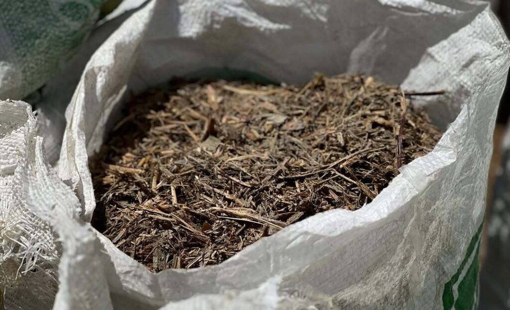 Prefeitura de Uiraúna entrega ração subsidiada a produtores rurais 3 2 5