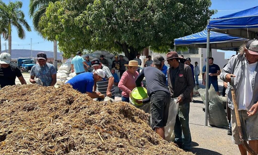 Prefeitura de Uiraúna entrega ração subsidiada a produtores rurais 4 3 5
