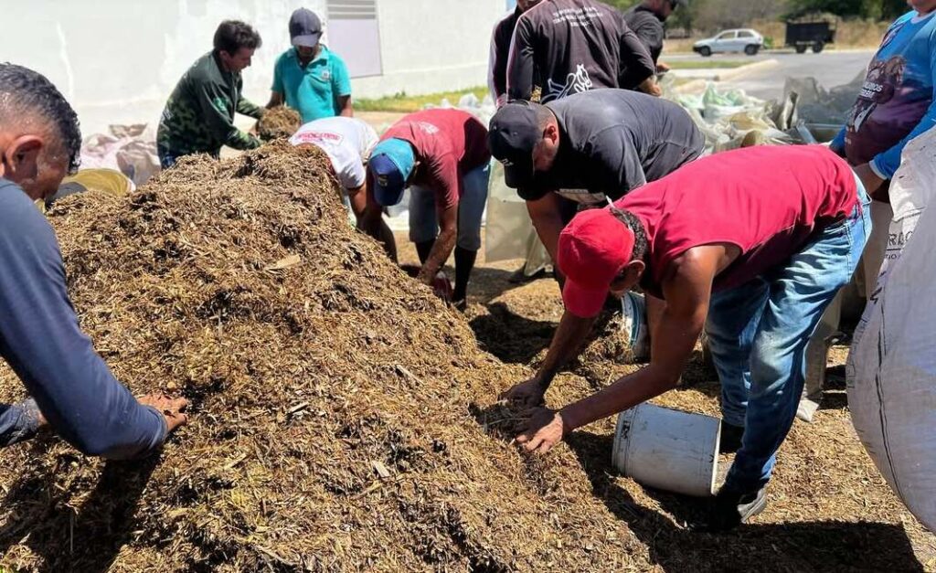 Prefeitura de Uiraúna entrega ração subsidiada a produtores rurais 6 5 4